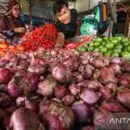 Harga pangan hari ini, bawang merah Rp36.874/kg, telur ayam Rp29.067/kg