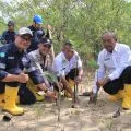PT Timah menanam 2.500 mangrove di Pantai Pelambung, Karimun