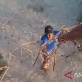 Komut ASDP berharap perawatan terumbu karang dilakukan secara rutin