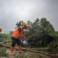 BMKG memprakirakan hujan ringan melanda kota-kota besar di RI pada Jumat