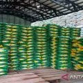Bulog tambah beras SPHP 800 ton untuk Natuna