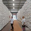 Stok beras NTB aman hingga musim panen padi tahun depan