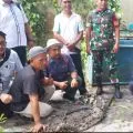 Tim gabungan evakuasi buaya peliharaan warga di Bintan