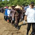 Kejari Batam tanam jagung di Rempang dukung ketahanan pangan