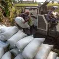 Produksi versus harga beras di Tanah Air