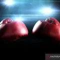 Indonesia, Thailand to team up for boxing development