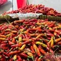 Harga cabai rawit merah Rp50.833 per kg