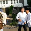 TNI AD menyediakan 3.417 hewan kurban untuk masyarakat