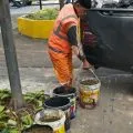 Limbah penyembelihan hewan kurban dijadikan pupuk organik