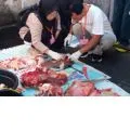 Enam kasus penyakit daging kurban ditemukan di Mataram