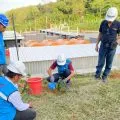 PLN menanam pohon dukung penghijauan di lingkungan PLTD Golo Bilas-NTT