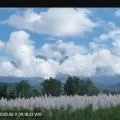 Gunung Raung kembali erupsi hingga 750 meter