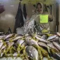 Dislutkan optimalkan tiga komoditi budidaya unggulan di NTB