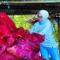 PLN galang aksi bersih pantai di Lombok Barat
