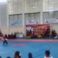 Sebanyak 600 atlet pencak silat di Lombok Tengah mulai bertarung