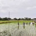 Pembangunan silo di NTB untuk perkuat ketahanan pangan