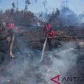 12 kabupaten/kota di Riau tetapkan status siaga darurat kebakaran hutan