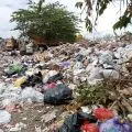 Sebanyak 375 ton sampah di TPS Sandubaya Mataram diangkut