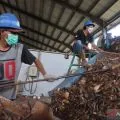Denyut Biomassa: Energi terbarukan yang menghidupkan ekonomi warga