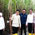 Mentan memastikan benahi hulu-hilir demi capai swasembada gula