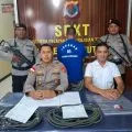Polisi: Pencuri sapi di Sumba Barat terancam hukuman tujuh tahun penjara