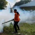 Pemkot Tanjungpinang lakukan pengasapan akibat kasus DBD meningkat