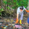PLN bersama Pokdarwis bersih pantai dan tanam mangrove di Lotim