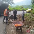 Bahu jalan rusak terkikis air hujan di Pusuk Lombok Utara diperbaiki