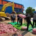 Puluhan ton bawang ilegal di Kepri dimusnahkan oleh Karantina dan Bea Cukai