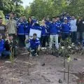PT Pelni tanam 400 bakau, cegah abrasi dan dorong ekonomi nelayan