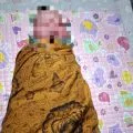 Bayi dibuang dini hari, Polisi tangkap janda di Pringgarata Lombok Tengah