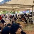 Disdukcapil Batam siapkan pencetakan KTP di setiap kecamatan
