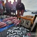 Relevansi gagasan Sjahrir dan Soemitro terkait kesejahteraan sosial