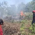 BPBD Karimun Kepri siaga cegah karhutla