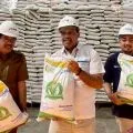 Bulog siapkan 850,5 ton beras bantuan bagi 42 ribu warga Batam dan Karimun