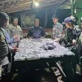 Satgas TNI Pamtas RI-PNG Yonif 131/BRS sita 128 paket ganja PNG di Skofro