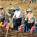 Mentan memperkuat sinergi bersama Polri wujudkan swasembada jagung