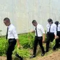 Rutan Batam panen 150 kg kangkung, untuk dukung ketahanan pangan nasional