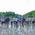 Transjakarta tanam 15 ribu mangrove