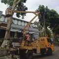 Perantingan pohon di Mataram digencarkan sebagai upaya mitigasi bencana