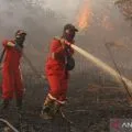 Riau tetapkan status tanggap darurat kebakaran hutan