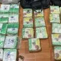 Bea Cukai Riau gagalkan upaya penyeludupan 27 kg sabu dari Malaysia