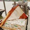 Bulog Batam terus salurkan bantuan pangan beras hingga pulau-pulau terluar