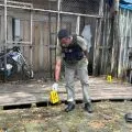 Kaops Damai Cartenz: Korban pembunuhan KKB di Dekai warga sipil