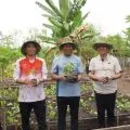 Wagub NTT mengapresiasi program pengelolaan kebun holtikultura di Mabar