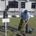 Lanud RSA Natuna tanam 300 bibit jenis kelapa genjah entok dan kelapa dalam