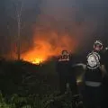 Wildfires near Singkawang Airport ravage 31 ha land: govt