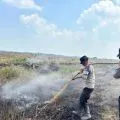 Personel Brimob Polda Riau gugur usai padamkan kathutla