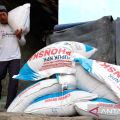 Akses cepat pupuk subsidi untuk merawat harapan petani padi