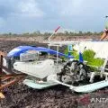 Kementan mengoptimalkan peran petani milenial kelola pertanian modern